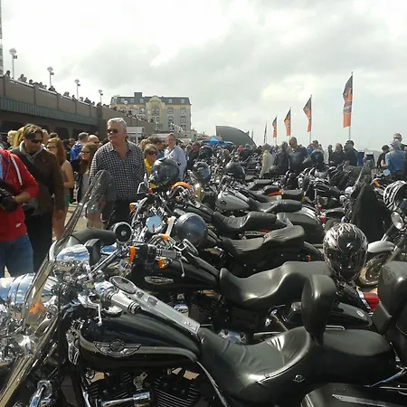 דירה Haus-am-meer-blick-ueber-sylt *